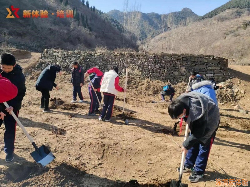 2022年3月某中學植樹節(jié)活動